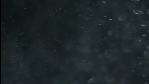 Dust and smoke motion graphics with night background Stock Footage 136929760