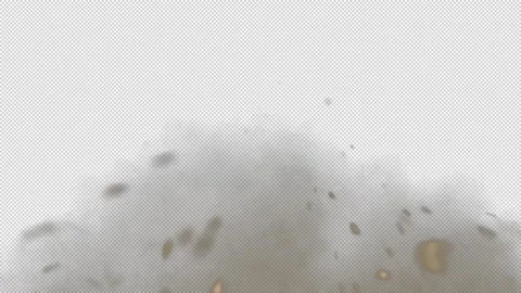 Dust AtCam 05 Video stock 201159697