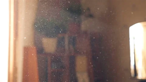 Dust on the background of light rays. Slow motion. Close-up 库存影片 101483876