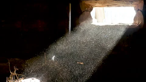 Dust in a beam of light. Loopable 3 Stock-Footage 189901973