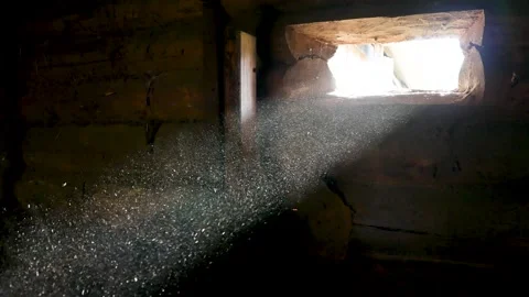 Dust in a beam of light. Loopable 4 Stock Footage 189894289