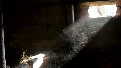 Dust in a beam of light. Loopable 5 Stock-Footage 189893130