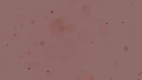 Dust, circles, bokeh effect randomly moving in different directions on a di.. Stock Footage 250671923