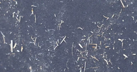 Dust on a Cloth Stock Footage 303880487