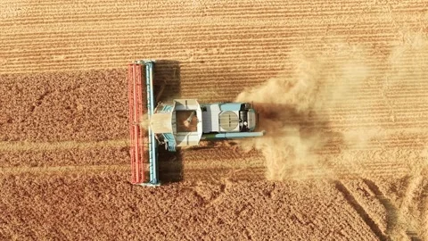 Dust cloud trailing combine harvester across mature wheat field. Drone Stock Footage 344538336