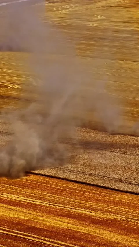 Dust Clouds Sweeping Across Golden Agricultural Fields Stock Footage 336626650