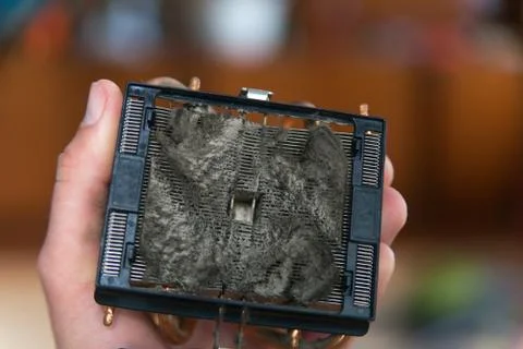 Dust in computer case Stock Photos