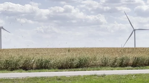 Dust Devil in Cornfield in Oklahoma Tight Shot Stock Footage 267249495