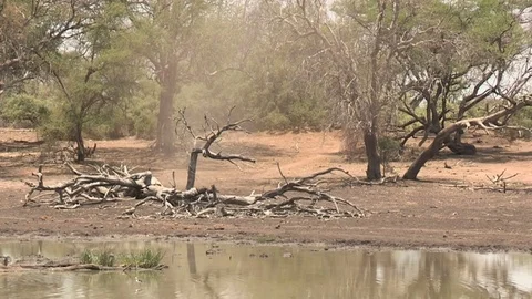 Dust Devil Video stock 84290270