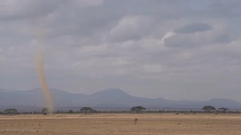 Dust devil in the plains of Amboseli Stock Footage 219745613