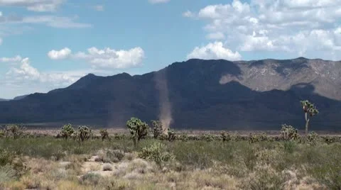 Dust devils (whirlwinds) at Arizona. Stock Footage