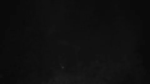 Dust falling on black background Stock Footage 77011522