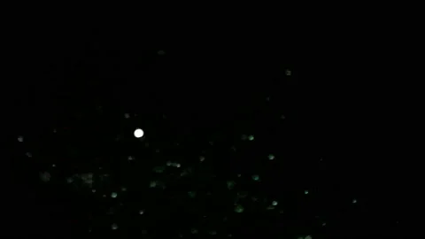Floating Dust Texture