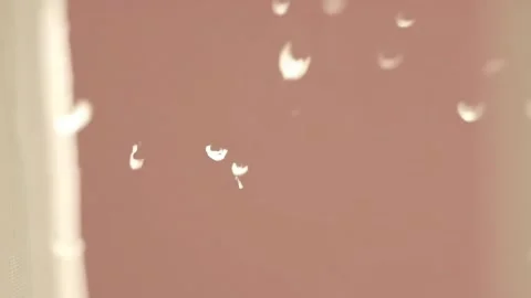Dust Floating in Sunlight Shining Through Curtain in Slow Motion Stock Footage 313367107