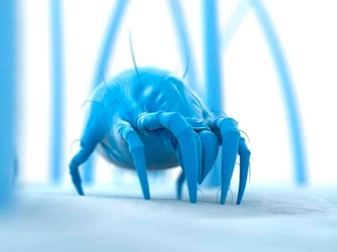 Dust mite, artwork Stockillustratie