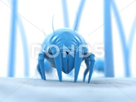 Dust mite, artwork Stock Illustration