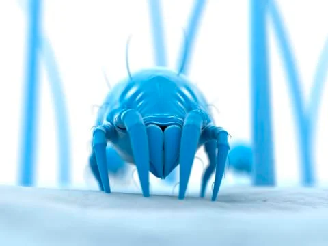 Dust mite, artwork Illustrazione stock