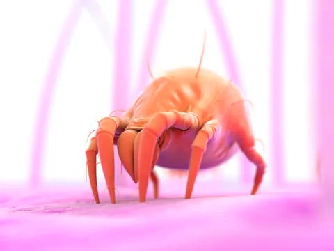 Dust mite, artwork Stockillustratie
