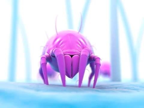 Dust mite, artwork Illustrazione stock