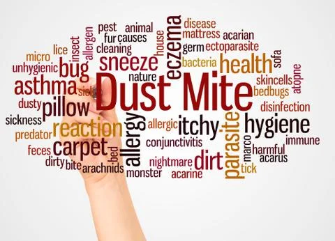 Dust mite word cloud and hand with marker concept Foto stock