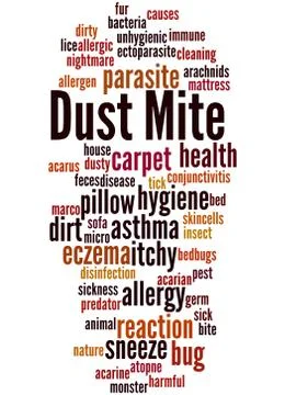 Dust mite, word cloud concept Illustrazione stock