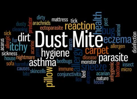Dust mite, word cloud concept Stock Illustration