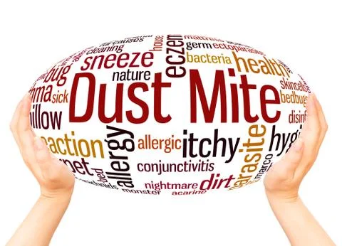 Dust mite word cloud hand sphere concept Foto stock