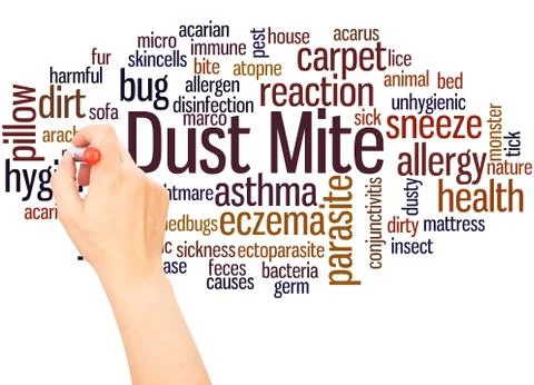 Dust mite word cloud hand writing concept 写真素材