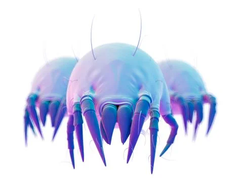 Dust mites Stock Illustration