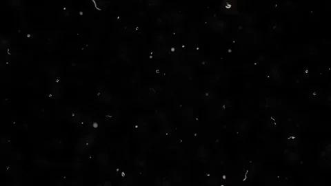 Dust motion.3d illustration Stock Footage 91702284