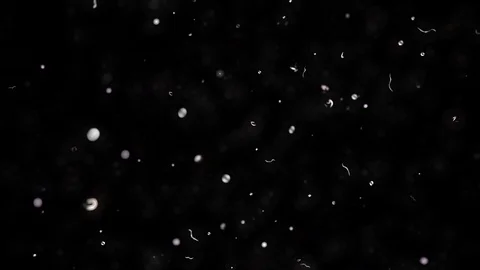 Dust motion.3d illustration Stock Footage 91702306