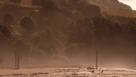 Dust Over The Beach Stock Footage 124354403