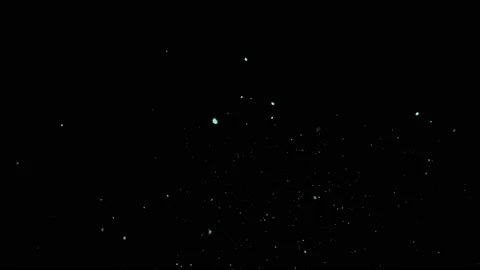 Dust particle 113 Stock Footage 217708167