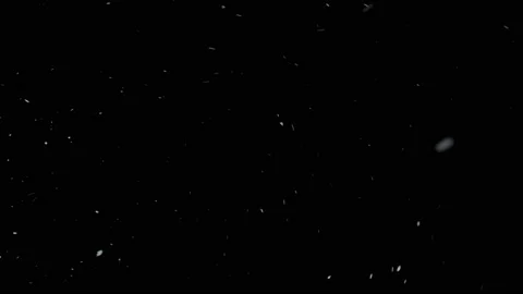 Dust Particle System, A Black Background | Stock Video | Pond5