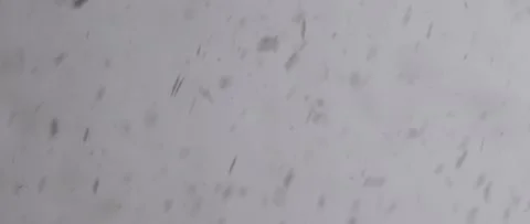 Dust &amp; Particles 4K Stock-Footage 231543123