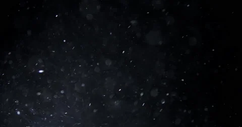 Dust Particles Background. Macro slow motion shot Stock Footage 151717881