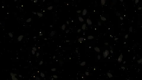 Dust particles on black background. Dance of small golden bubbles. Stock Footage 302432663