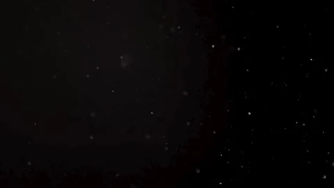 Dust Particles on Black Background Stock Footage 281533234