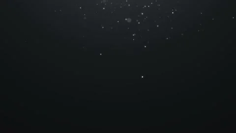 Dust particles with bokeh effect. Abstract white magic background. 3d rendering. 動画素材 229124028