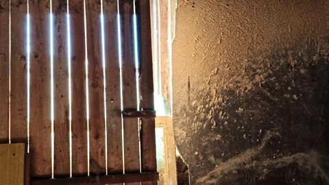 Dust particles dancing in sunbeams inside an old abandoned dusty barn Stock Footage 335892855