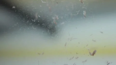 Dust particles dropping 動画素材 51879485