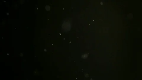 Dust Particles Fall Like Snow In Slow Motion Stock Footage 70370013