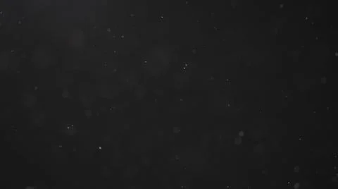 Dust particles float in neutral light on black background Stock Photos