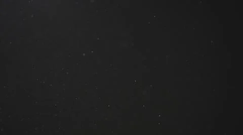 Dust particles float in neutral light on black background Stock Photos