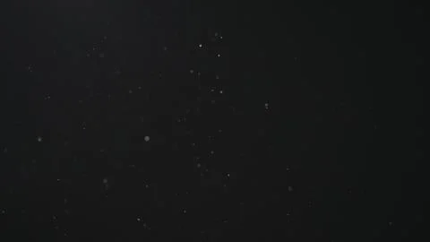 Dust particles float in neutral light on black background Stock Photos