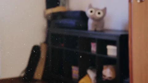 Dust particles floating in the air. Video stock 170701728