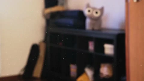 Dust particles floating in the air. Video stock 170701835