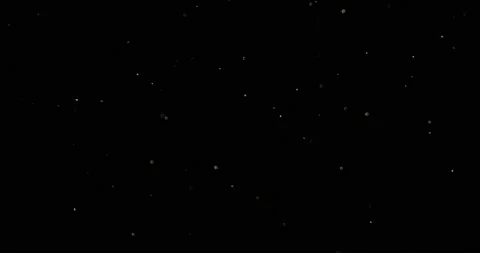 Dust particles floating on black background in slow motion overlay. Atmosphere Stock Footage 220102414