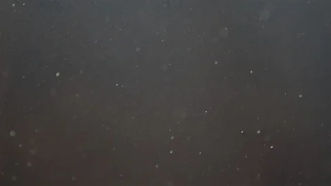 Dust particles floating in sunlight Stock Footage 112781051