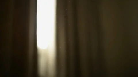 Dust particles floating through the room with morning sun shining through Stock Footage 241769098